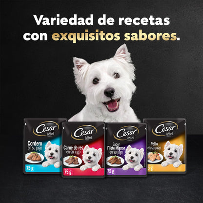 Cesar Alimento para Perro sobre Sabor