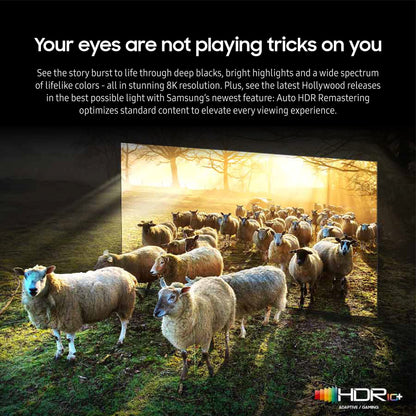 Samsung Neo QLED 8K QN800C Series Mini LED Quantum HDR Smart TV con diseño Ultra Delgado, Dolby Atmos, Sonido de Seguimiento de Objetos+, Q-Symphony 3.0, Alexa Incorporado (QN65QN800C, Modelo 2023)