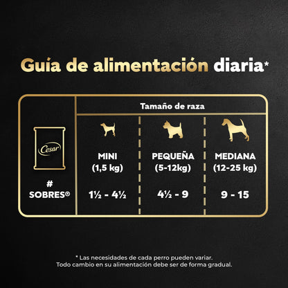 Cesar Alimento para Perro sobre Sabor